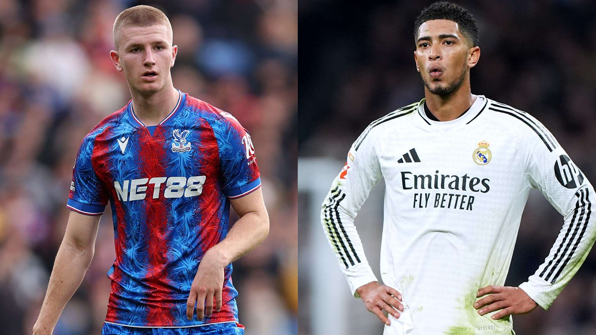 在不同领域 在不同领域